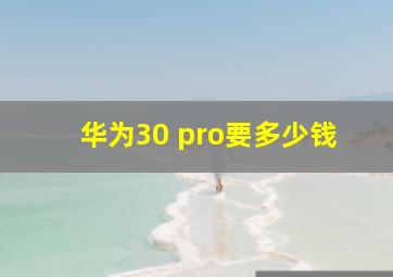 华为30 pro要多少钱